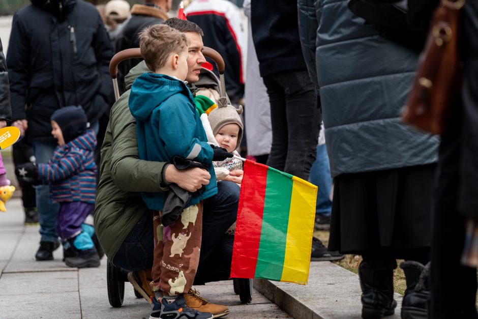 Vasario 16-oji Kaune – su šimtais vėliavų ir pasididžiavimo jausmu