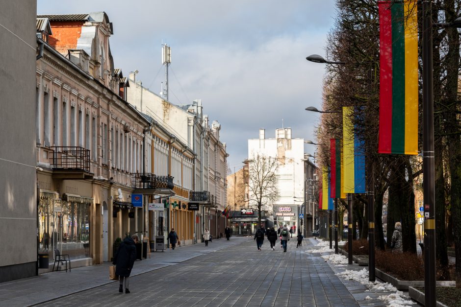 Kaunas siunčia palaikymo žinutę Ukrainai: artėjant karo metinėms Laisvės alėjoje suplazdėjo vėliavos