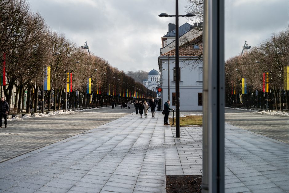 Kaunas siunčia palaikymo žinutę Ukrainai: artėjant karo metinėms Laisvės alėjoje suplazdėjo vėliavos