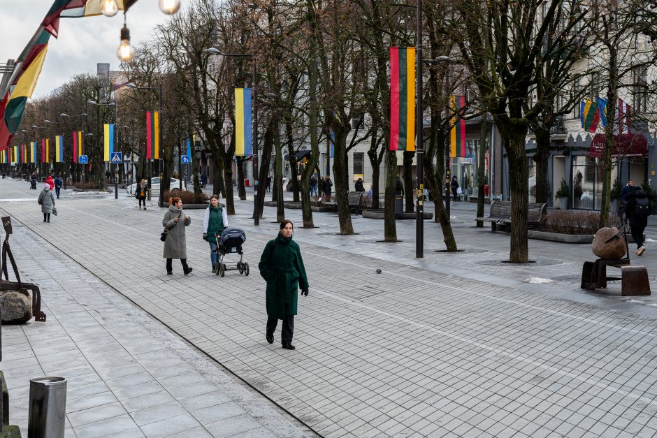 Kaunas siunčia palaikymo žinutę Ukrainai: artėjant karo metinėms Laisvės alėjoje suplazdėjo vėliavos