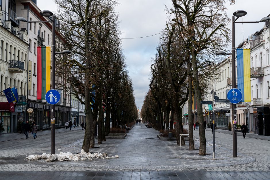 Kaunas siunčia palaikymo žinutę Ukrainai: artėjant karo metinėms Laisvės alėjoje suplazdėjo vėliavos