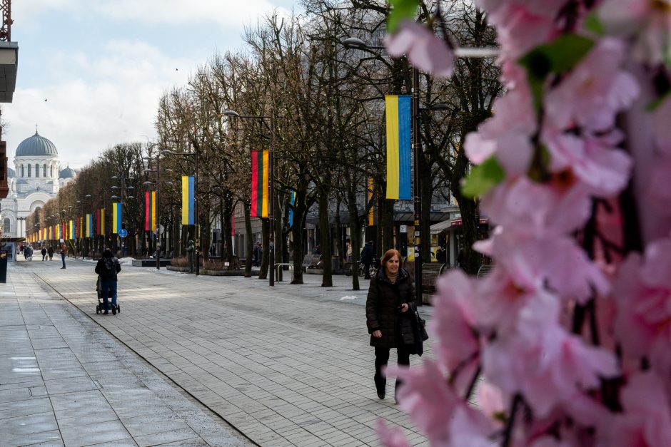 Kaunas siunčia palaikymo žinutę Ukrainai: artėjant karo metinėms Laisvės alėjoje suplazdėjo vėliavos