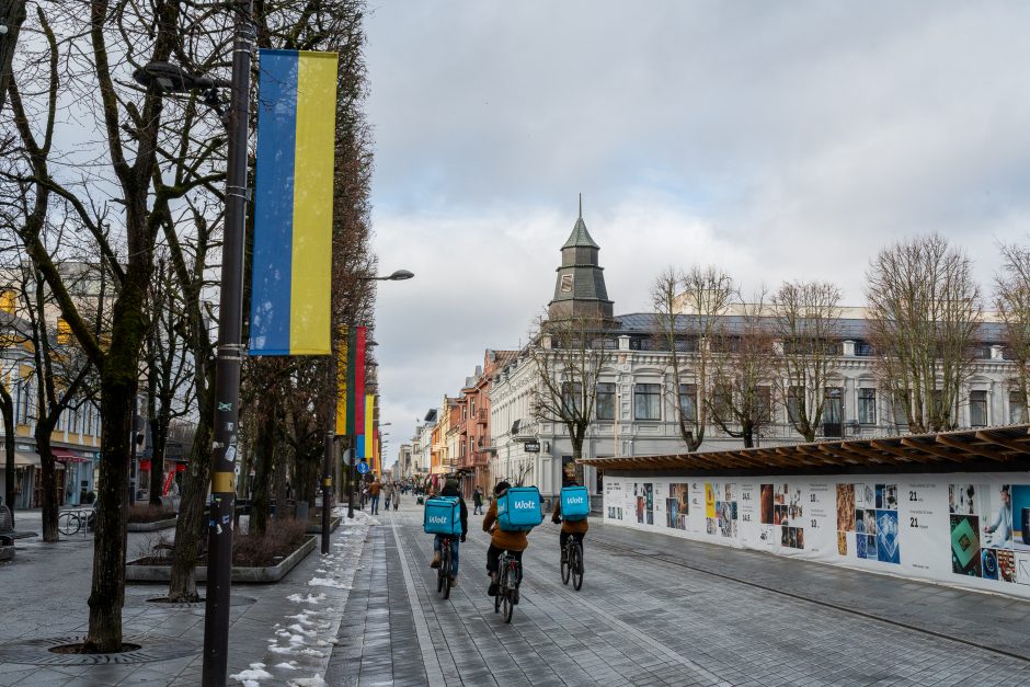 Kaunas siunčia palaikymo žinutę Ukrainai: artėjant karo metinėms Laisvės alėjoje suplazdėjo vėliavos