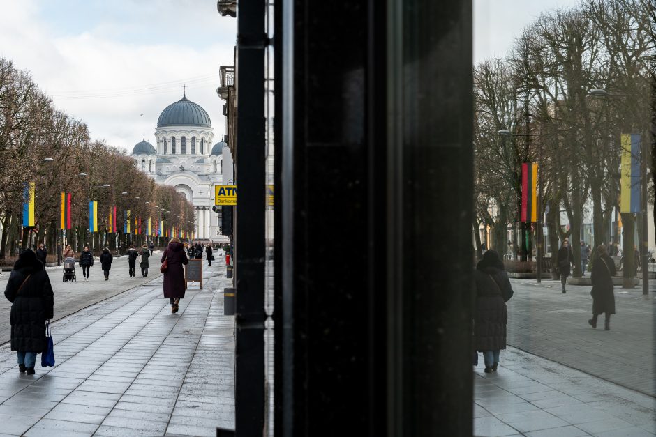 Kaunas siunčia palaikymo žinutę Ukrainai: artėjant karo metinėms Laisvės alėjoje suplazdėjo vėliavos