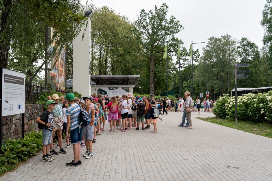 Lietuvos zoologijos sodas pirmą kartą po rekonstrukcijos švenčia gimtadienį