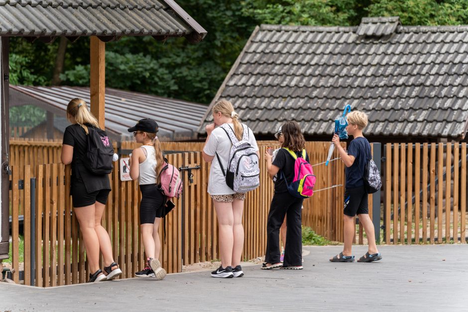 Lietuvos zoologijos sodas pirmą kartą po rekonstrukcijos švenčia gimtadienį