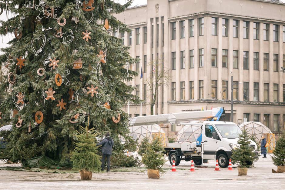 Nupuošiama Kauno kalėdinė eglė