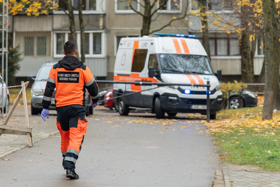 Seimo rinkimų antrasis turas: kam kauniečiai atidavė savo balsus?