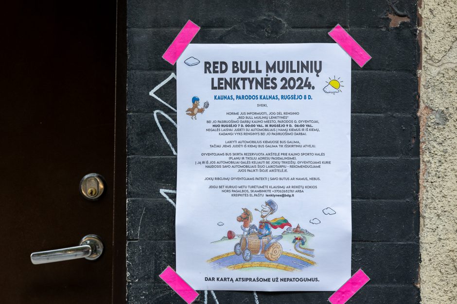 Pasiruošimas „Red Bull muilinių lenktynėms“