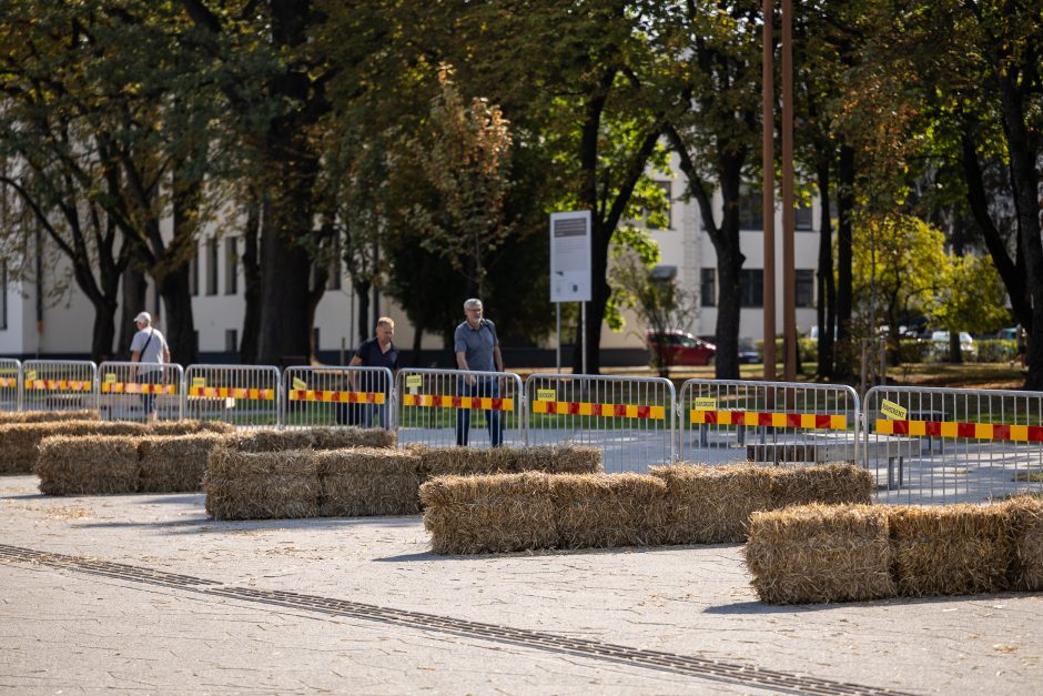 Pasiruošimas „Red Bull muilinių lenktynėms“