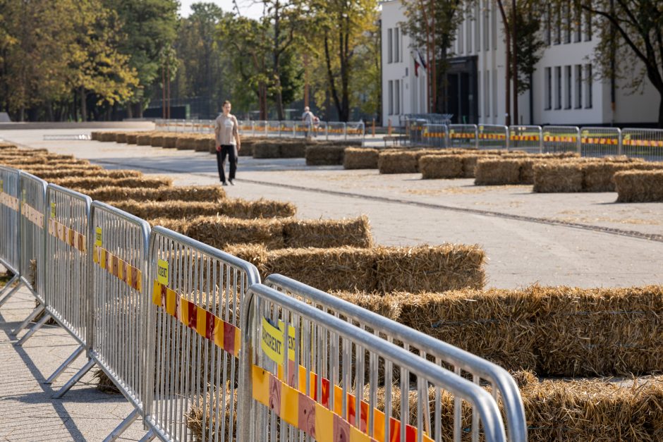 Pasiruošimas „Red Bull muilinių lenktynėms“