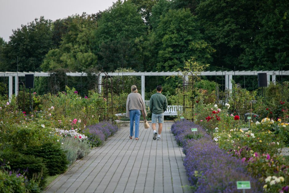 „Botaninės naktys 2024 – Bobų vasara“