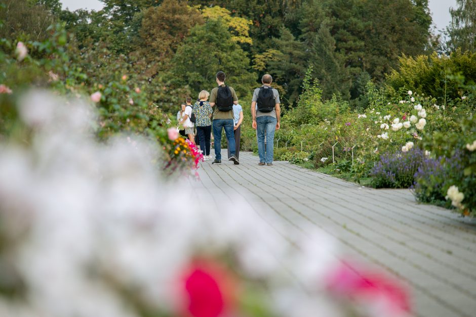 „Botaninės naktys 2024 – Bobų vasara“