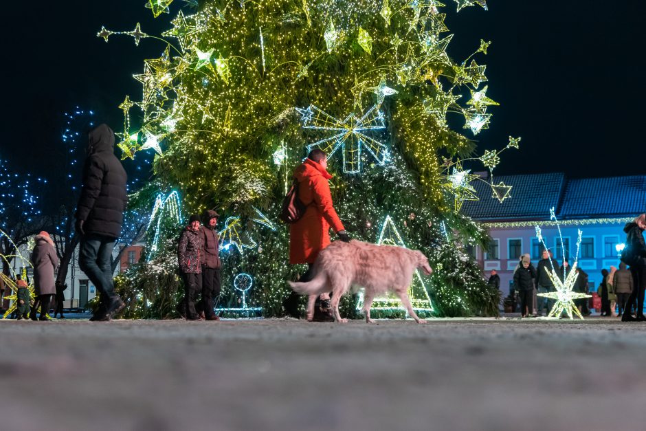 Kauniečiai atsisveikina su Kalėdų egle (nuotraukų galerija)