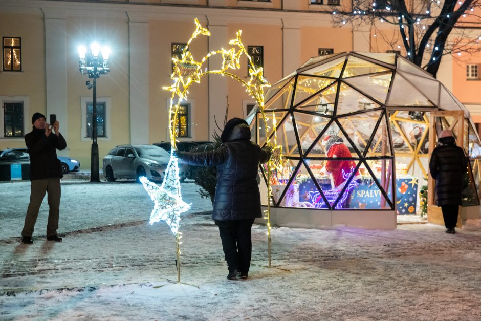 Kauniečiai atsisveikina su Kalėdų egle (nuotraukų galerija)