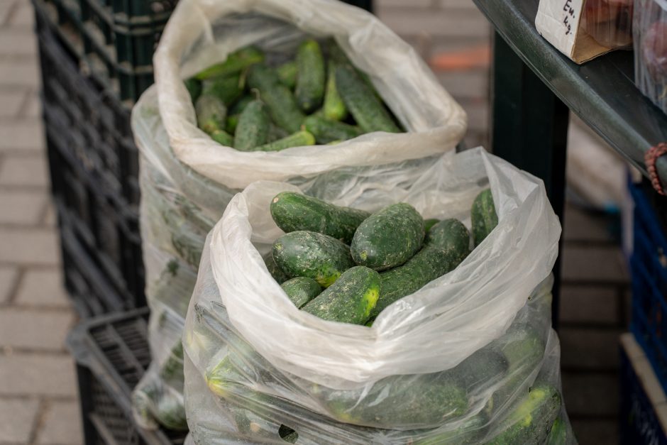 Auksiniai grybai: už kilogramą baravykų – 20 eurų