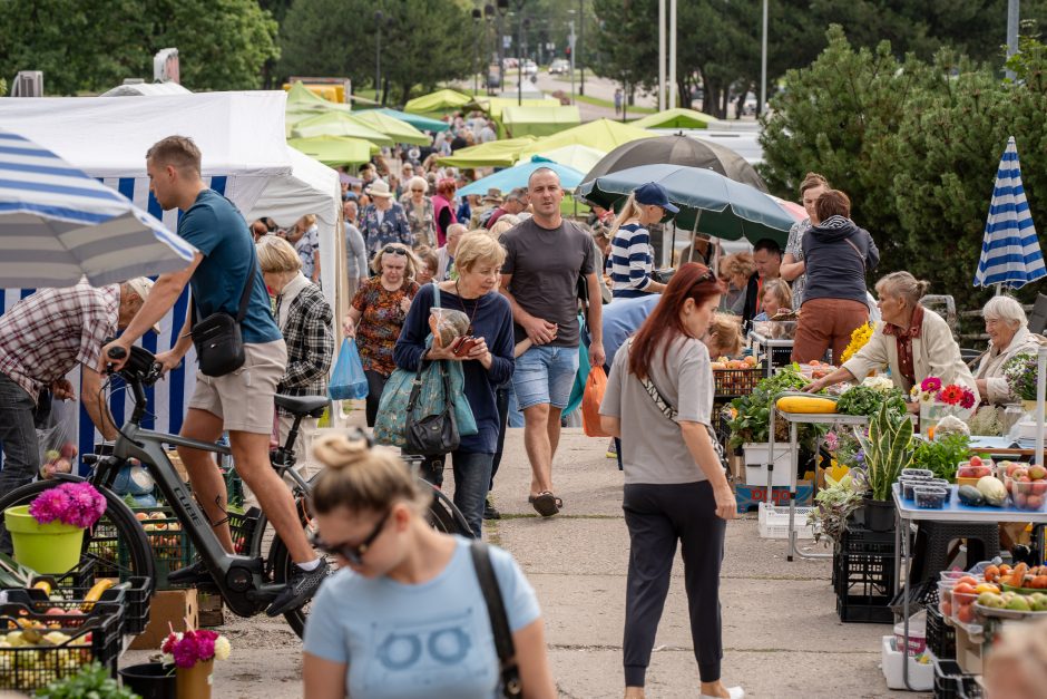 Kauno turgavietėse pridygo baravykų