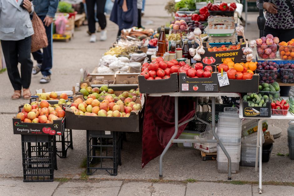 Auksiniai grybai: už kilogramą baravykų – 20 eurų