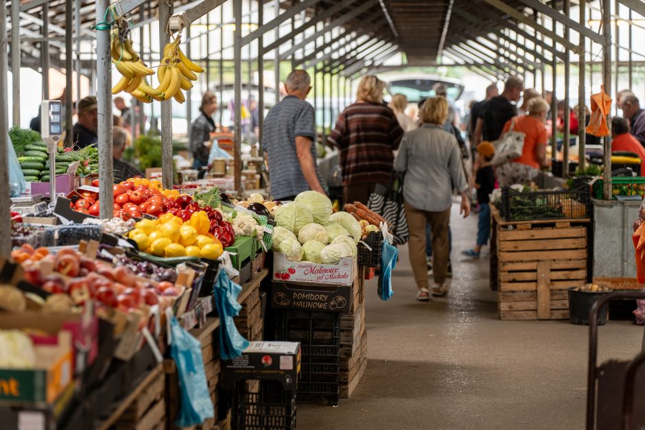 Auksiniai grybai: už kilogramą baravykų – 20 eurų