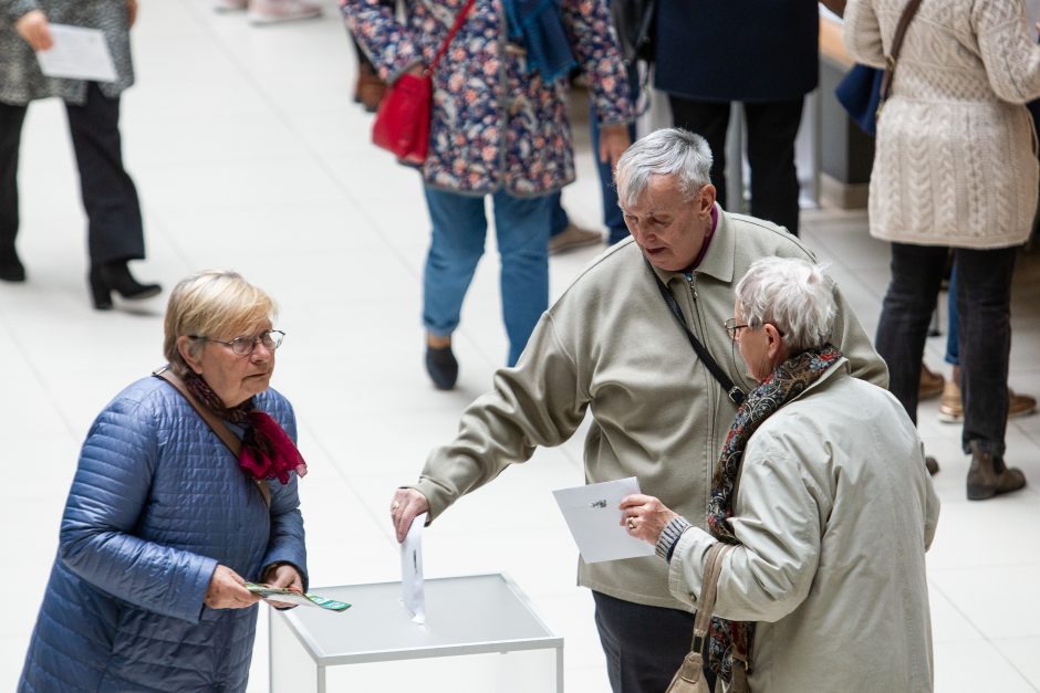 D. Henke: dvigubos pilietybės referendumas – Lietuvos ateities klausimas