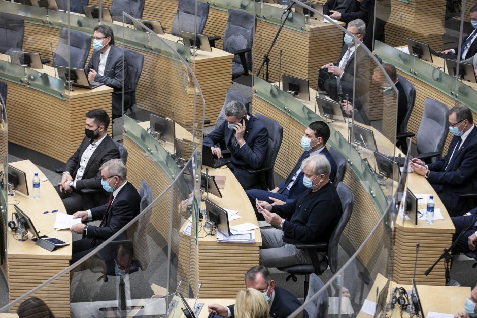 Seimas patvirtino I. Šimonytės Vyriausybės programą