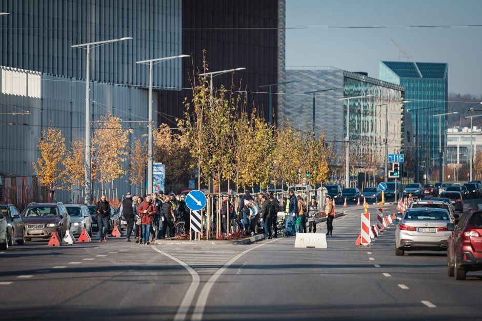 Kviečia į talką: žalioji Vilniaus banga šį pavasarį kils iš Naujamiesčio