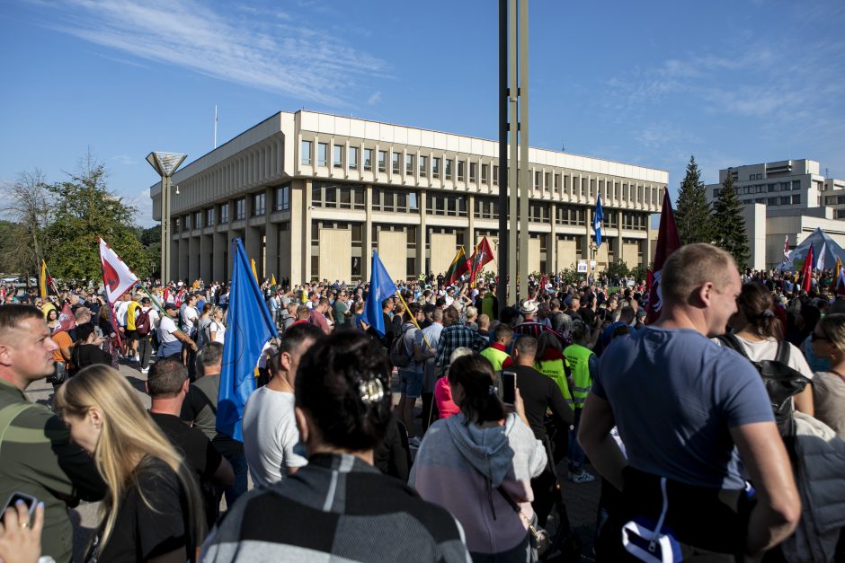 Žydų atstovai, I. Šimonytė pasmerkė Holokausto simbolikos naudojimą mitinge prie Seimo