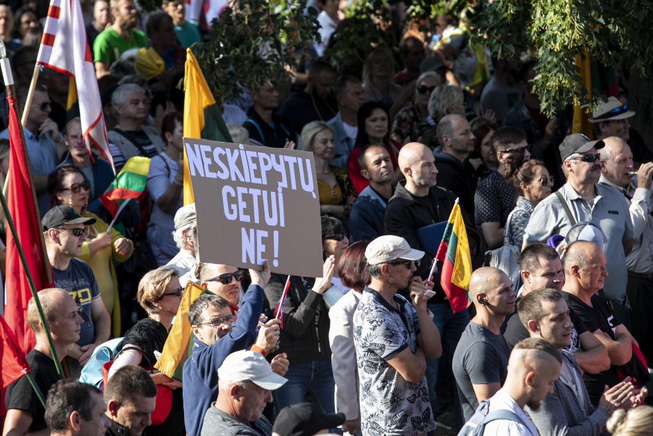 Žydų atstovai, I. Šimonytė pasmerkė Holokausto simbolikos naudojimą mitinge prie Seimo