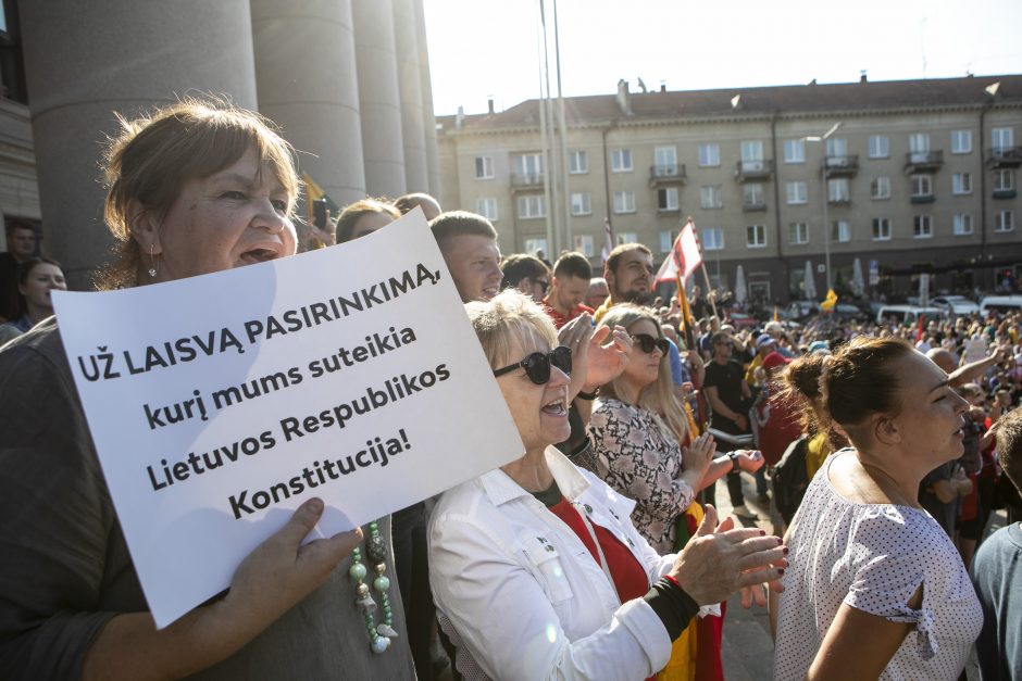 Žydų atstovai, I. Šimonytė pasmerkė Holokausto simbolikos naudojimą mitinge prie Seimo