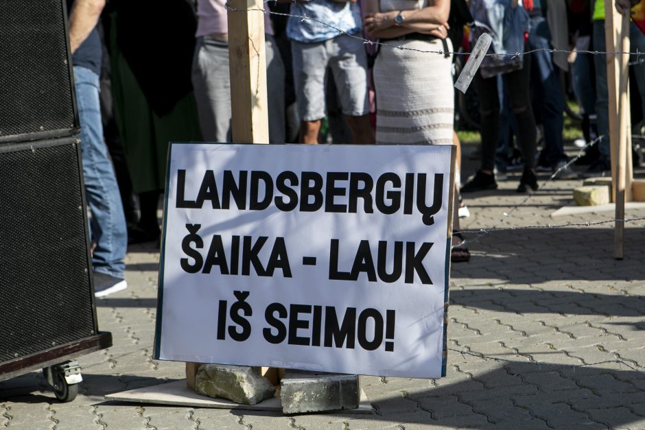 Žydų atstovai, I. Šimonytė pasmerkė Holokausto simbolikos naudojimą mitinge prie Seimo