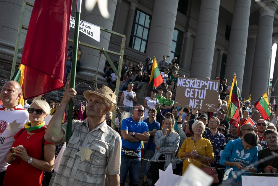 Žydų atstovai, I. Šimonytė pasmerkė Holokausto simbolikos naudojimą mitinge prie Seimo