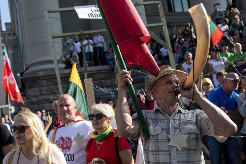 Žydų atstovai, I. Šimonytė pasmerkė Holokausto simbolikos naudojimą mitinge prie Seimo