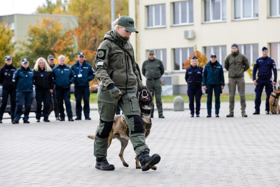 Geriausias kinologas: gyvybes gelbstintiems šunims visa tai yra didelė pramoga