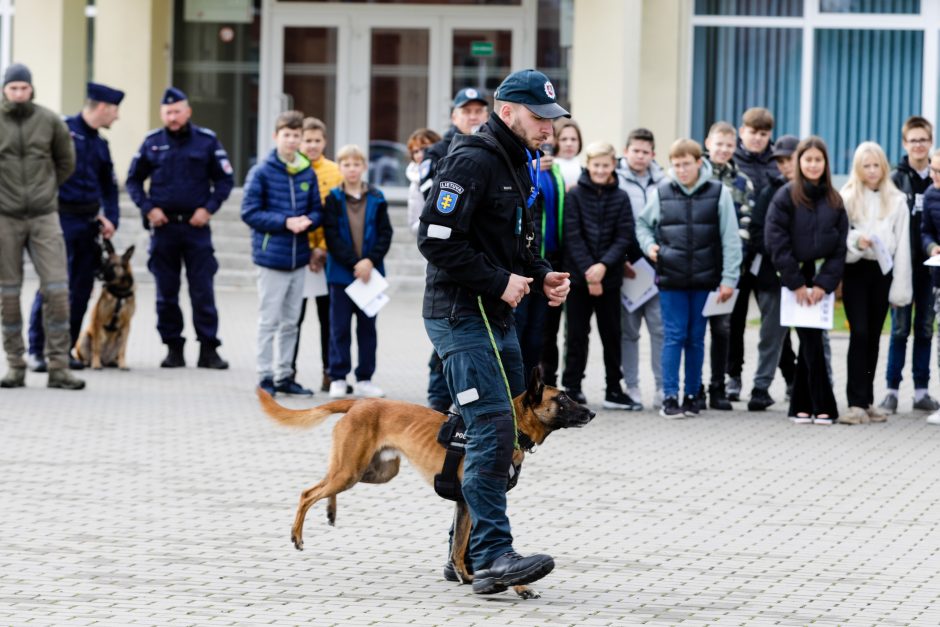 Geriausias kinologas: gyvybes gelbstintiems šunims visa tai yra didelė pramoga