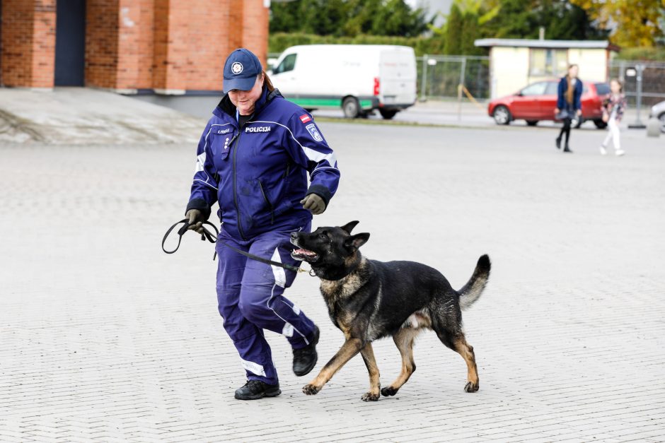 Geriausias kinologas: gyvybes gelbstintiems šunims visa tai yra didelė pramoga