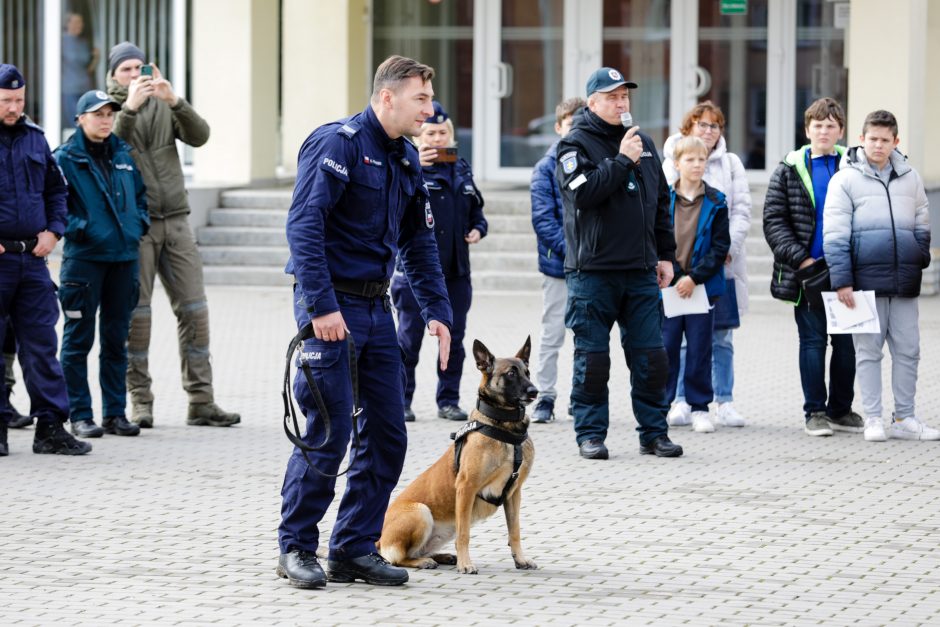 Geriausias kinologas: gyvybes gelbstintiems šunims visa tai yra didelė pramoga