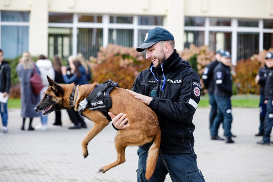 Geriausias kinologas: gyvybes gelbstintiems šunims visa tai yra didelė pramoga