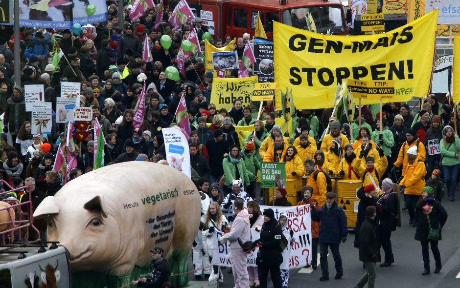 Vokietijos ūkininkai protestuoja prieš GMO