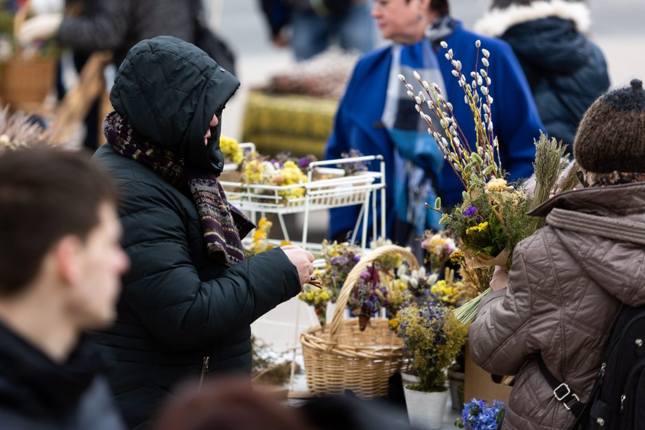 Verbų sekmadienis: visame katalikiškame pasaulyje prasidėjo Didžioji savaitė