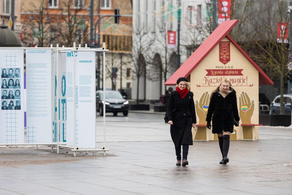 „Baltosios pirštinės“ gavo per 50 pranešimų apie galimus rinkimų pažeidimus