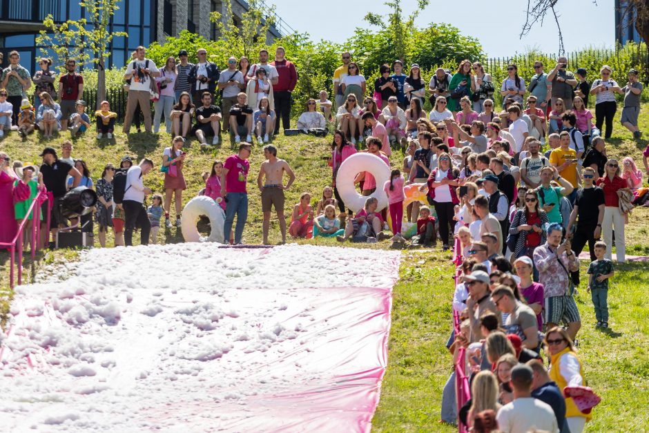Vilniuje prasidėjo šaltibarščių festivalis – įtraukė rožinių pramogų sūkurys