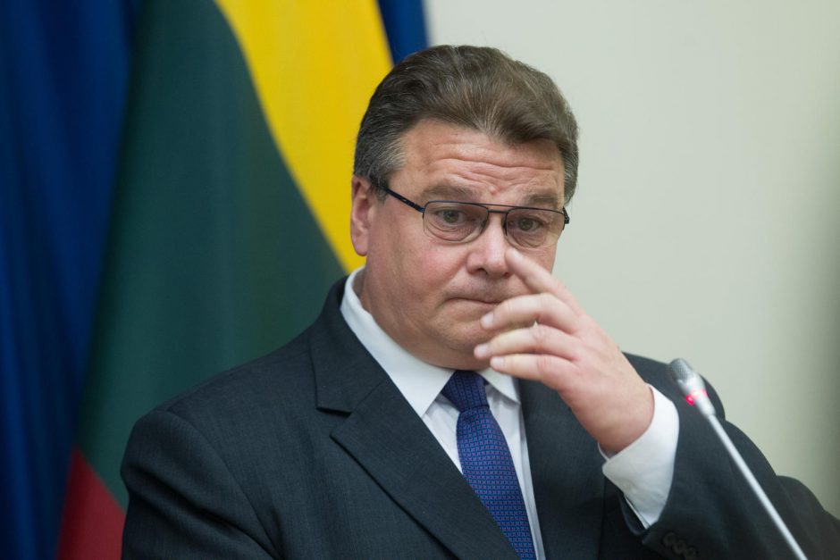 L. Linkevičius: Rusijos grėsmė yra reali ir turi būti vertinama rimtai