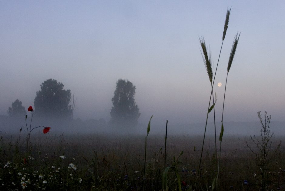 Klimatologė: manau, kad daugelį nustebins ir rugpjūtis