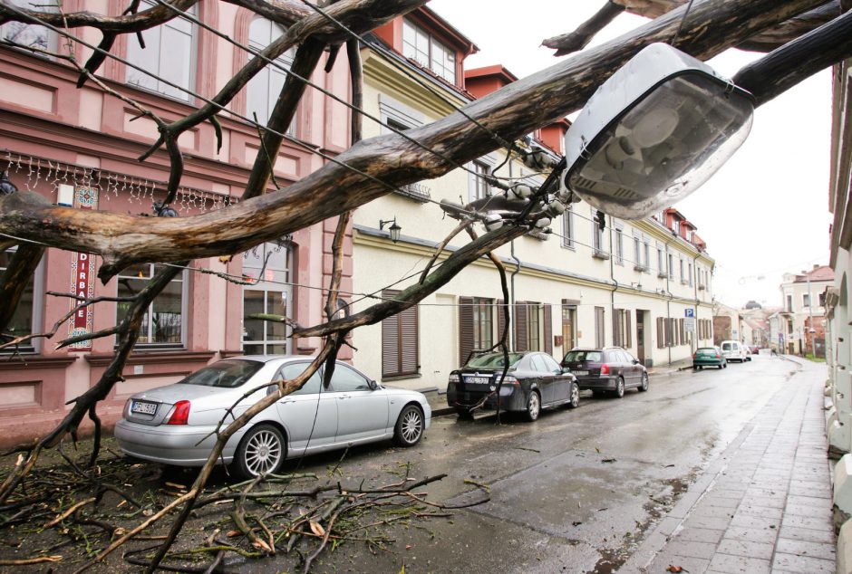 Lūžusi medžio šaka sužalojo praeivį