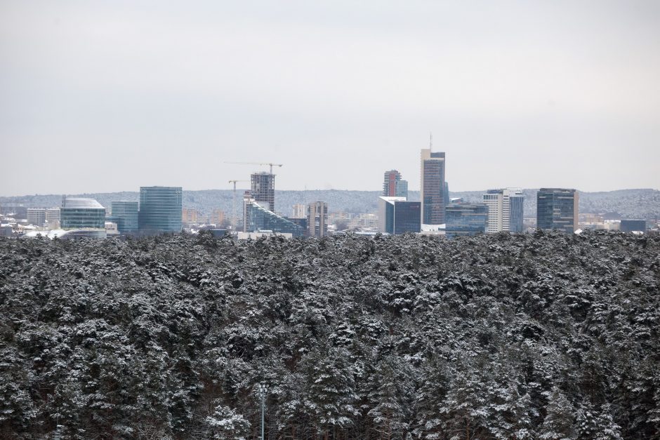 Vilnius norėtų didesnės GPM pyrago dalies