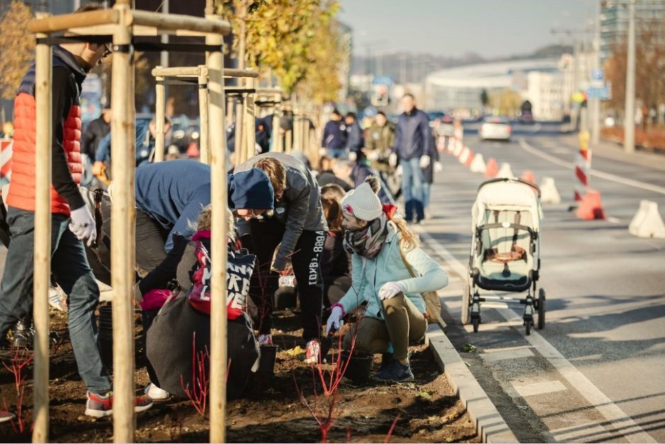 Kviečia į talką: žalioji Vilniaus banga šį pavasarį kils iš Naujamiesčio