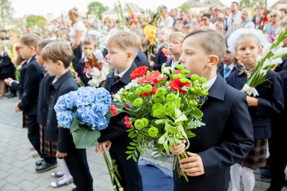 Registracija į mokyklas – be eilių ir su interaktyviuoju žemėlapiu