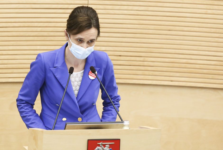 V. Blinkevičiūtė: valdantiesiems reikėjo daugiau diskutuoti dėl partnerystės projekto