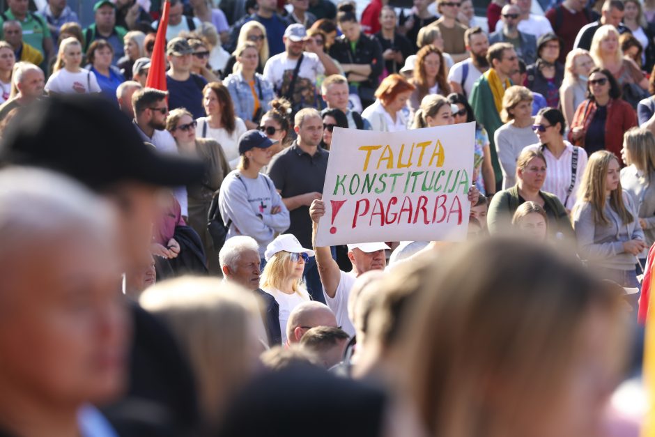 Žydų atstovai, I. Šimonytė pasmerkė Holokausto simbolikos naudojimą mitinge prie Seimo