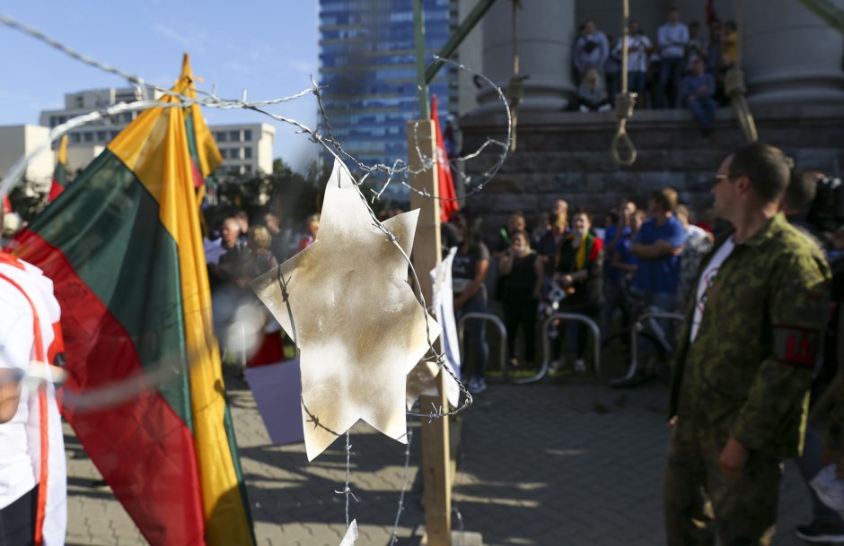 Žydų atstovai, I. Šimonytė pasmerkė Holokausto simbolikos naudojimą mitinge prie Seimo